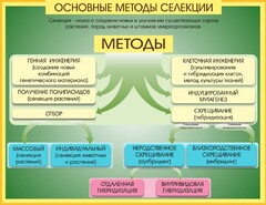 Стенд "Методы селекции и биотехнологии" - fgospostavki.ru - Владикавказ