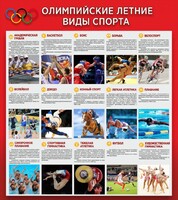 Стенд "Олимпийские летние виды спорта" - fgospostavki.ru - Владикавказ