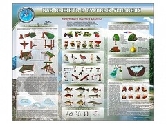 Стенд "Как выжить в суровых условиях" - fgospostavki.ru - Владикавказ