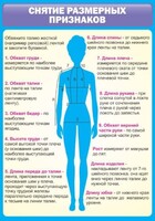 Стенд "Снятие мерок" Вариант 2 - fgospostavki.ru - Владикавказ
