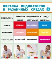 Стенд "Окраска индикаторов в различных средах" - fgospostavki.ru - Владикавказ