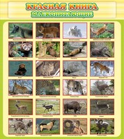 Стенд "Красная книга - млекопитающие" - fgospostavki.ru - Владикавказ