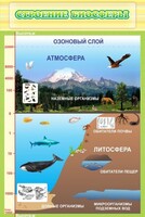 Стенд "Строение биосферы" - fgospostavki.ru - Владикавказ