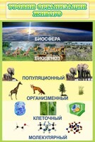 Стенд "Уровни организации живого" - fgospostavki.ru - Владикавказ