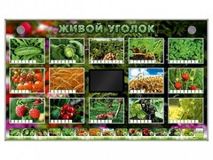 Комплект оборудования "Живой уголок" (растения) - fgospostavki.ru - Владикавказ