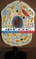 Модель "Клетка животного" - fgospostavki.ru - Владикавказ