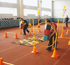 <center>Спортивный зал </center> - fgospostavki.ru - Владикавказ
