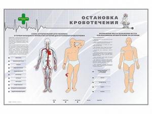 Электрифицированный стенд "Остановка кровотечения" - fgospostavki.ru - Владикавказ