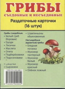 Раздаточные карточки "Грибы съедобные и не съедобные" - fgospostavki.ru - Владикавказ