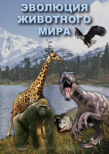 DVD "Эволюция животного мира" - fgospostavki.ru - Владикавказ