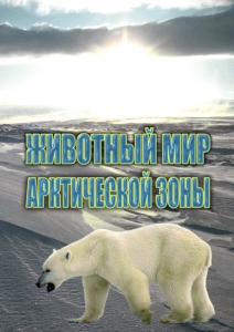 DVD "Животный мир Арктической зоны" - fgospostavki.ru - Владикавказ