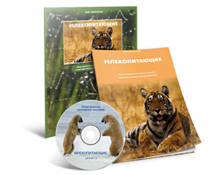 Электронное наглядное пособие «Млекопитающие» - fgospostavki.ru - Владикавказ