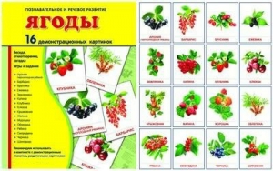Демонстрационные карточки "Ягоды" - fgospostavki.ru - Владикавказ