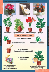 Комплект таблиц. Окружающий мир 1 класс. - fgospostavki.ru - Владикавказ