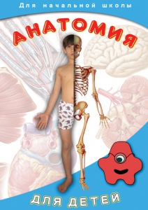 DVD "Анатомия для детей" - fgospostavki.ru - Владикавказ