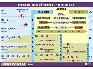 Таблица демонстрационная "Сравнение понятий изомер и гомолог" (винил 70x100) - fgospostavki.ru - Владикавказ