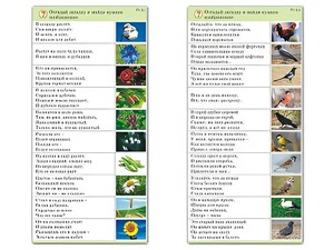 Комплект карточек (10) "Обучающий калейдоскоп. Природа" - fgospostavki.ru - Владикавказ