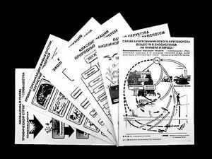 Комплект таблиц по экологии "Экосистема-экологическая единица окружающей среды" (ламинированные, А4, 12 штук) - fgospostavki.ru - Владикавказ