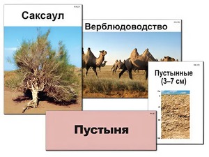 Модель-аппликация "Природные зоны России" (ламинированная) - fgospostavki.ru - Владикавказ