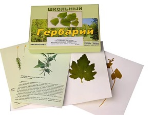 Гербарий "Систематика растений. Высшие споровые и семенные" (раздаточный) - fgospostavki.ru - Владикавказ