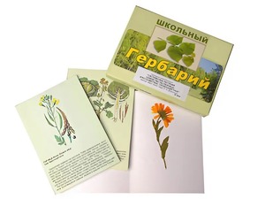 Гербарий "Систематика растений. Семейство Пасленовые. Крестоцветные. Сложноцветные" (раздаточный) - fgospostavki.ru - Владикавказ