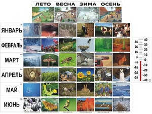 Фенологические наблюдения - fgospostavki.ru - Владикавказ