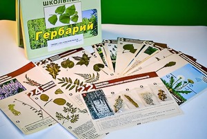 Гербарий к курсу основ общей биологии - fgospostavki.ru - Владикавказ