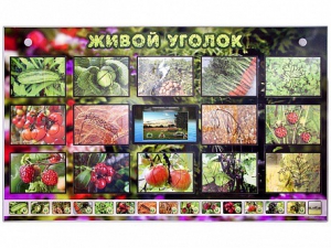 Комплект оборудования "Живой уголок" (растения) с тифлопереводом и сурдокомментариями - fgospostavki.ru - Владикавказ