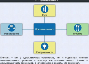 Интерактивные курсы. Биология 5 класс. Базовый - fgospostavki.ru - Владикавказ