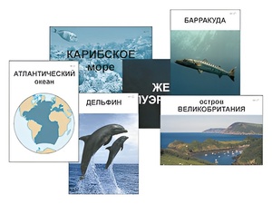 Модель-аппликация "Океаны. Знакомство" (ламинированная) - fgospostavki.ru - Владикавказ