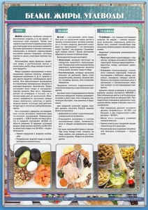 Стенд "Белки. Жиры. Углеводы" - fgospostavki.ru - Владикавказ