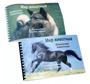Пособие для слабовидящих - Домашние животные - fgospostavki.ru - Владикавказ
