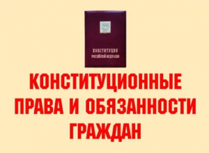 Комплект плакатов "Конституционные права и обязанности граждан" - fgospostavki.ru - Владикавказ