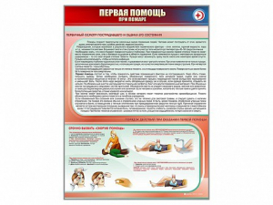 Стенд "Первая помощь при пожаре" - fgospostavki.ru - Владикавказ