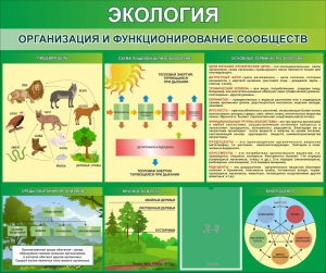 Стенд "Экология. Организация и функционирование сообществ" - fgospostavki.ru - Владикавказ