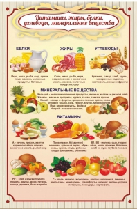 Стенд "Витамины, жиры, белки" - fgospostavki.ru - Владикавказ