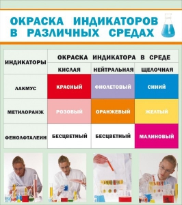 Стенд "Окраска индикаторов в различных средах" - fgospostavki.ru - Владикавказ