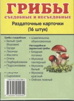 Раздаточные карточки "Грибы съедобные и не съедобные" - fgospostavki.ru - Владикавказ