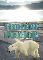 DVD "Животный мир Арктической зоны" - fgospostavki.ru - Владикавказ