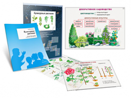 Комплект кодотранспарантов "Культурные растения" - fgospostavki.ru - Владикавказ