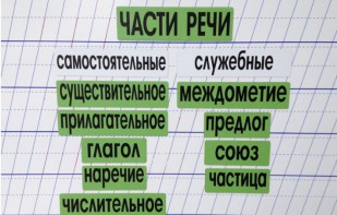 Набор магнитных карточек "Части речи" (фон зелёный) - fgospostavki.ru - Владикавказ