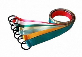 Лента гимнастическая на кольце (0,25 метра) - fgospostavki.ru - Владикавказ