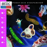Биология. Микрофотографии. (Цифровая база изображений) - fgospostavki.ru - Владикавказ