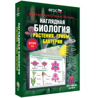 Наглядная биология. 6 класс. Растения. Грибы. Бактерии - fgospostavki.ru - Владикавказ