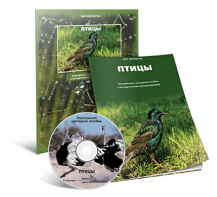 Электронное наглядное пособие «Птицы» - fgospostavki.ru - Владикавказ