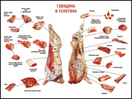 Таблица "Правила разделки мясных туш. Говядина и телятина" (100х140 сантиметров, винил) - fgospostavki.ru - Владикавказ