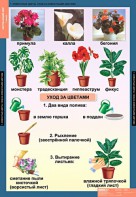 Комплект таблиц. Окружающий мир 1 класс. - fgospostavki.ru - Владикавказ