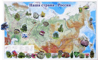 Магнитные карточки "Растения" - fgospostavki.ru - Владикавказ