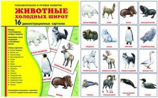 Демонстрационные карточки "Животные холодных широт" - fgospostavki.ru - Владикавказ