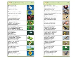 Комплект карточек (10) "Обучающий калейдоскоп. Природа" - fgospostavki.ru - Владикавказ